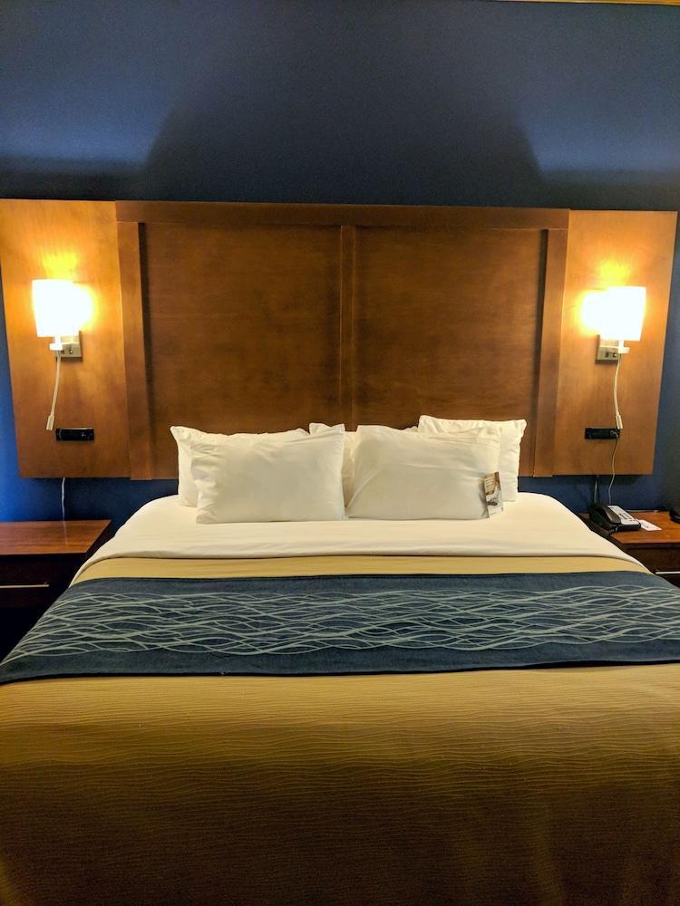 Comfort Inn & Suites Statesboro - University Area Ngoại thất bức ảnh